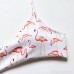 OMKAGI Women's Padded Push-Up Sexy Bikinis Flamingo Floral Bathing Suit 2 Pieces Swimwear Flamingo B0736LL4HS